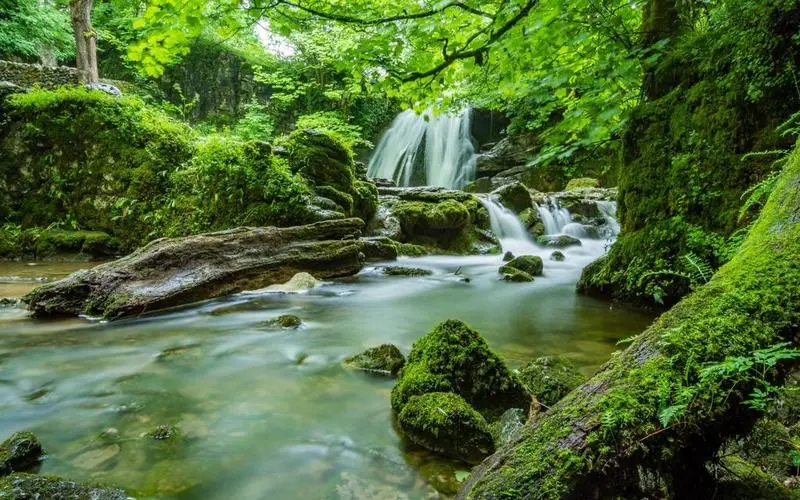 高质量智慧
